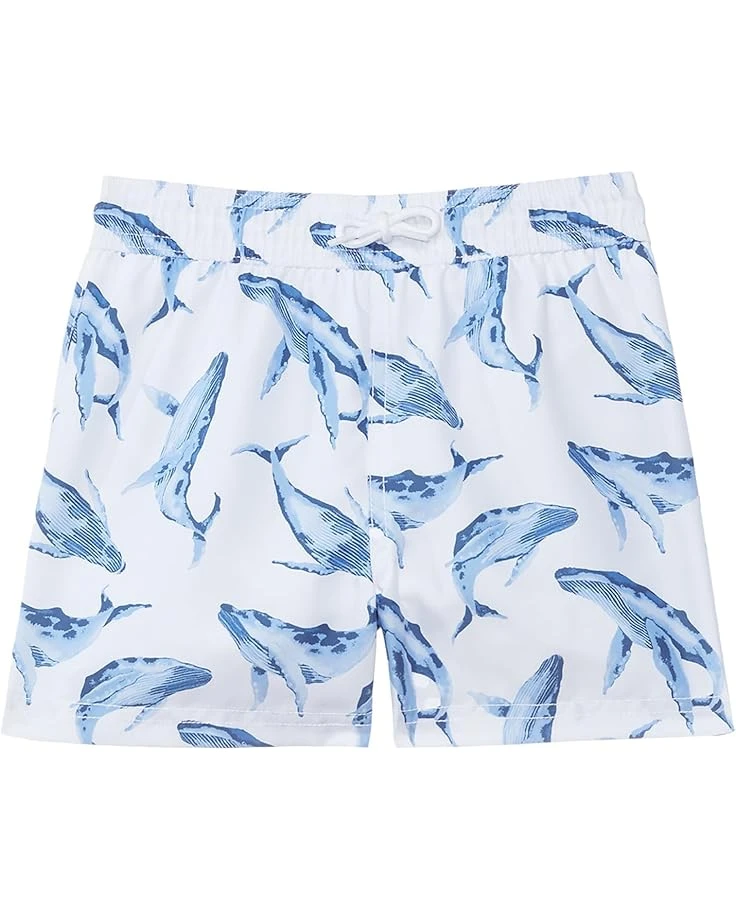 Janie and Jack Printed Swim Trunk (Toddler/Little Kids/Big Kids) | Swimwear 8 Janie and Jack Printed Swim Trunk (Toddler/Little Kids/Big Kids) | Swimwear - Image 8