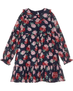 Janie and Jack Rose Print Dress (Toddler/Little Kids/Big Kids) | Dresses