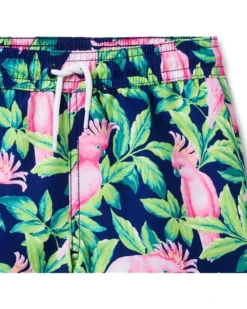 Janie and Jack Boys Bird Print Swim Short (Toddler/Little Kid/Big Kid) | Swimwear -Mama Baby Clothes 81DISWhbjTL. AC SR736920